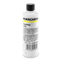 Піногасник Karcher 6.295-875.0