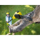 Акумуляторний висоторіз Karcher PSW 18-20 (каркас) 1.444-010.0