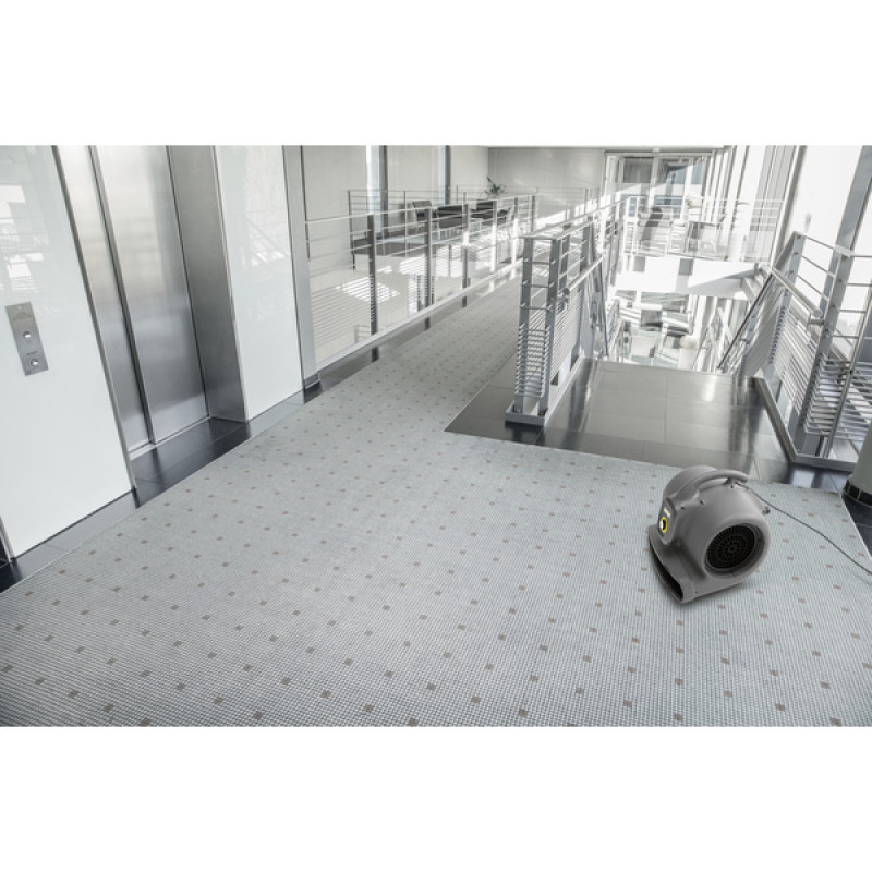Апарат для сушіння килимів Karcher AB 20 Ec 1.004-062.0