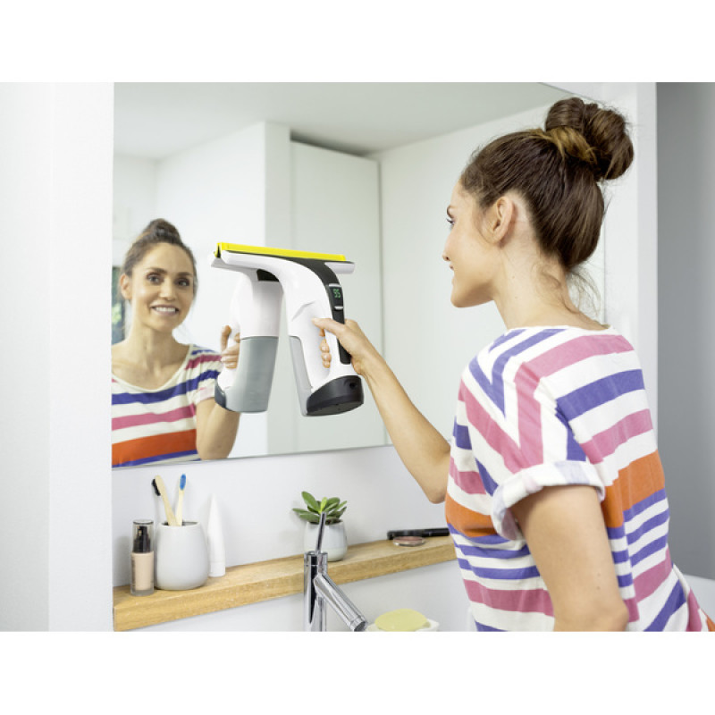 Віконний пилосос Karcher WV 6 Plus