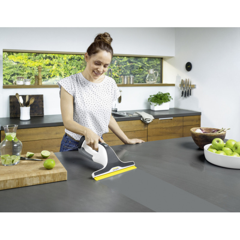Віконний пилосос Karcher WV 6 Plus