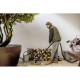 Пилосос Karcher WD 3 V-19/4/20 1.628-123.0